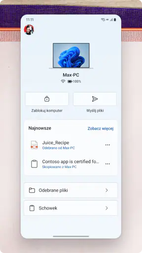 Łącze do Windows screenshot 1