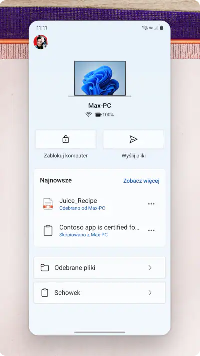Łącze do Windows screenshot 1