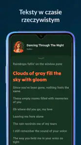 Lark Player: Odtwarzacz muzyki screenshot