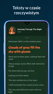 Lark Player: Odtwarzacz muzyki screenshot 3