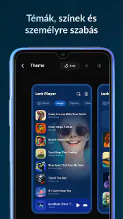 Lark Player: Odtwarzacz muzyki screenshot 5
