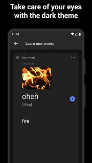 Learn Czech with flashcards! screenshot 6