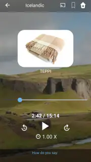 Learn Icelandic. Speak Iceland screenshot 3