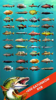 Let's Fish: Symulator wędkarza screenshot 3