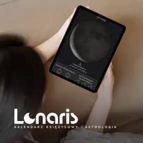 Lunaris screenshot 8