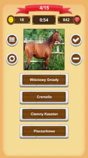 Maści Koni - Quiz screenshot 2