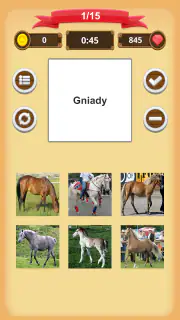 Maści Koni - Quiz screenshot 4