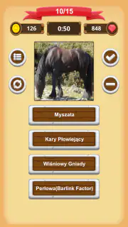Maści Koni - Quiz screenshot 5