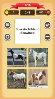 Maści Koni - Quiz screenshot 7