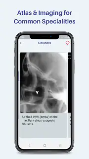 Medinfo: Medical information screenshot 8