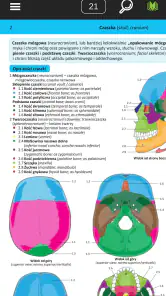 Memorix Anatomia i Histologia screenshot
