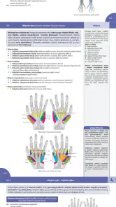 Memorix Anatomia i Histologia screenshot