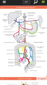 Memorix Anatomia i Histologia screenshot