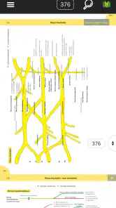 Memorix Anatomia i Histologia screenshot