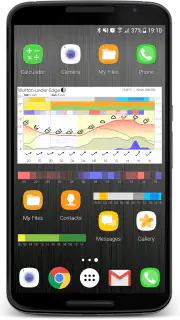 Meteogram Weather Widget screenshot 2
