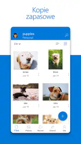 Microsoft OneDrive screenshot