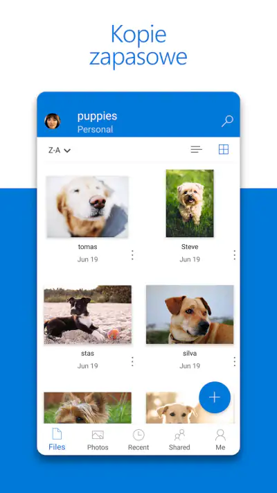 Microsoft OneDrive screenshot 1