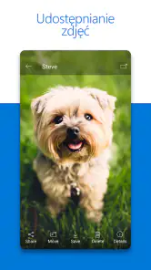 Microsoft OneDrive screenshot