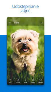 Microsoft OneDrive screenshot 2