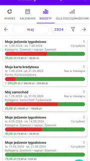Mój budżet Pro screenshot 7