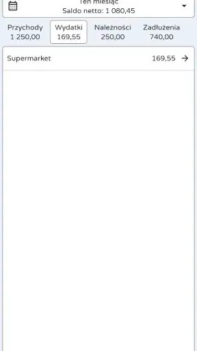 Monetaria - Dochody i wydatki screenshot 1