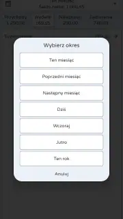Monetaria - Dochody i wydatki screenshot 2
