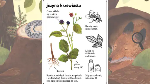 Mysia Encyklopedia screenshot 2