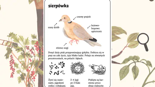 Mysia Encyklopedia screenshot 4