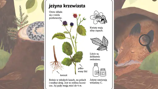 Mysia Encyklopedia screenshot 8