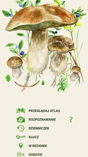 Na grzyby screenshot 1