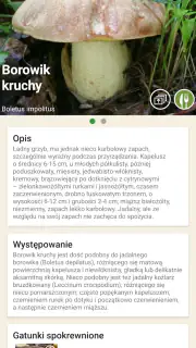 Na grzyby screenshot 3