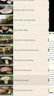 Na grzyby screenshot 4