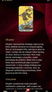 Naucz się Tarota screenshot 4