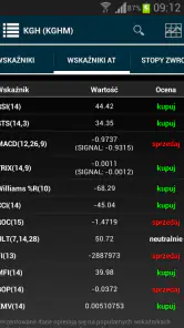 Notowania giełdowe BiznesRadar screenshot
