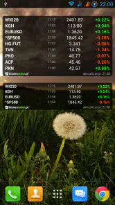 Notowania giełdowe BiznesRadar screenshot