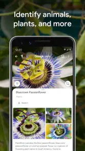 Obiektyw Google screenshot