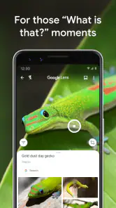 Obiektyw Google screenshot