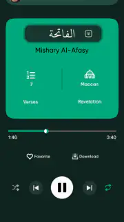 Odtwarzacz audio Koranu screenshot 2