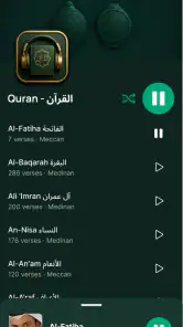 Odtwarzacz audio Koranu screenshot