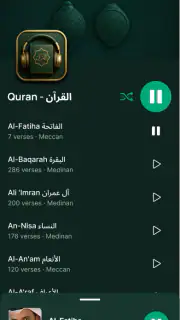 Odtwarzacz audio Koranu screenshot 5