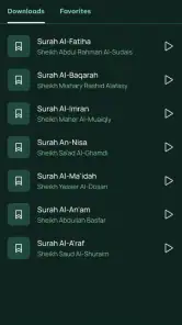 Odtwarzacz audio Koranu screenshot