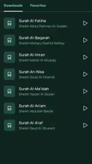 Odtwarzacz audio Koranu screenshot 6