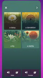 OkyDoky - Nauka języków screenshot