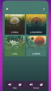 OkyDoky - Nauka języków screenshot 6