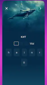 OkyDoky - Nauka języków screenshot