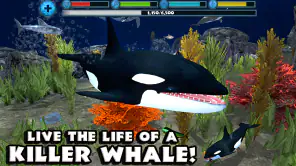 Orca Simulator screenshot 1