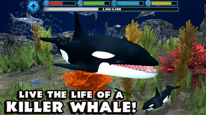 Orca Simulator screenshot 1
