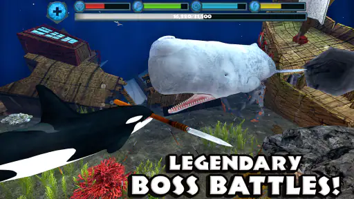 Orca Simulator screenshot 3