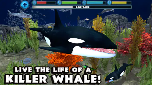 Orca Simulator screenshot 6