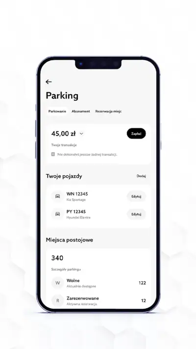 Parking Posnania screenshot 1